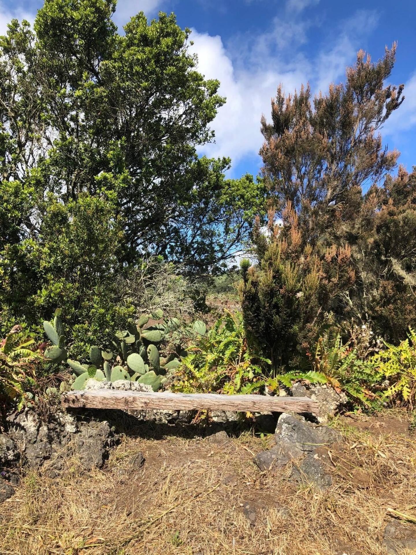 バルベルデ Casas Del Monte IIゲストハウス エクステリア 写真